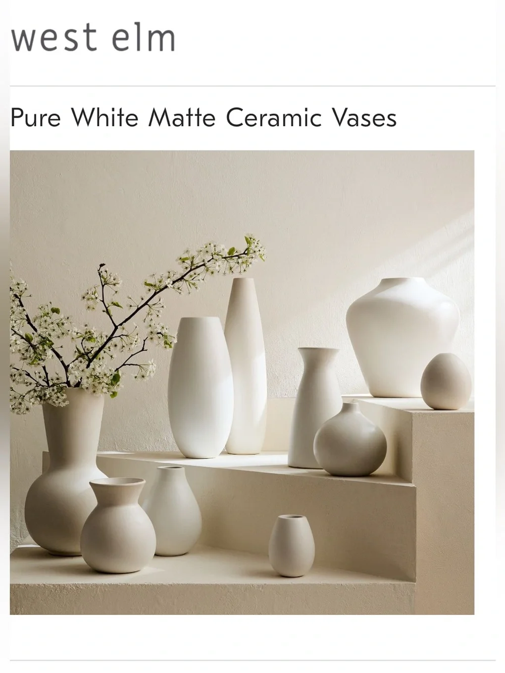 NWT West Elm Bead Ceramic Vase